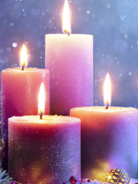 Candlelight Shopping